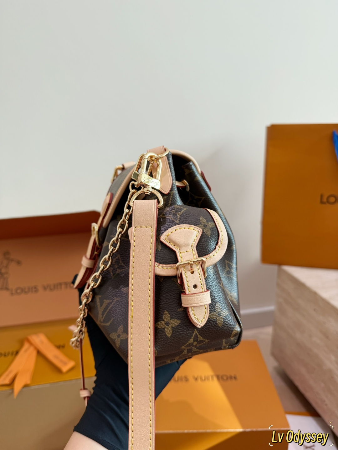 LV Odyssée Monogram Bucket Bag | Gold Chain Crossbody