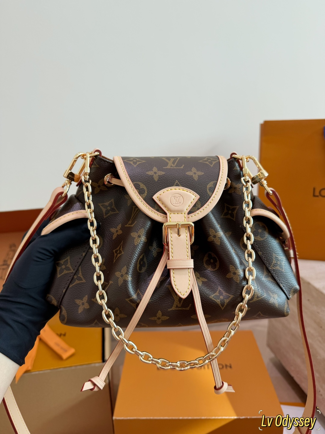LV Odyssée Monogram Bucket Bag | Gold Chain Crossbody
