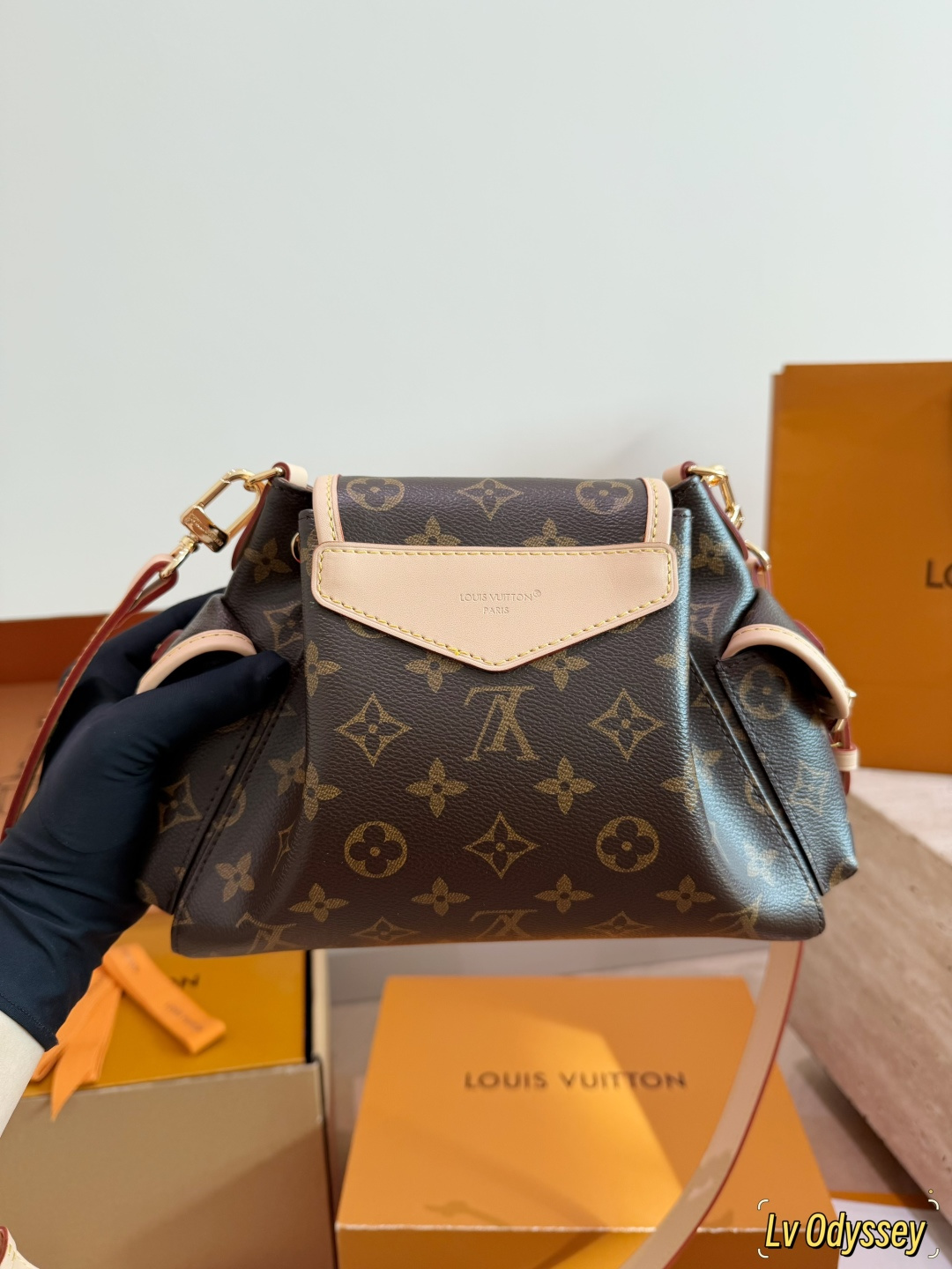 LV Odyssée Monogram Bucket Bag | Gold Chain Crossbody