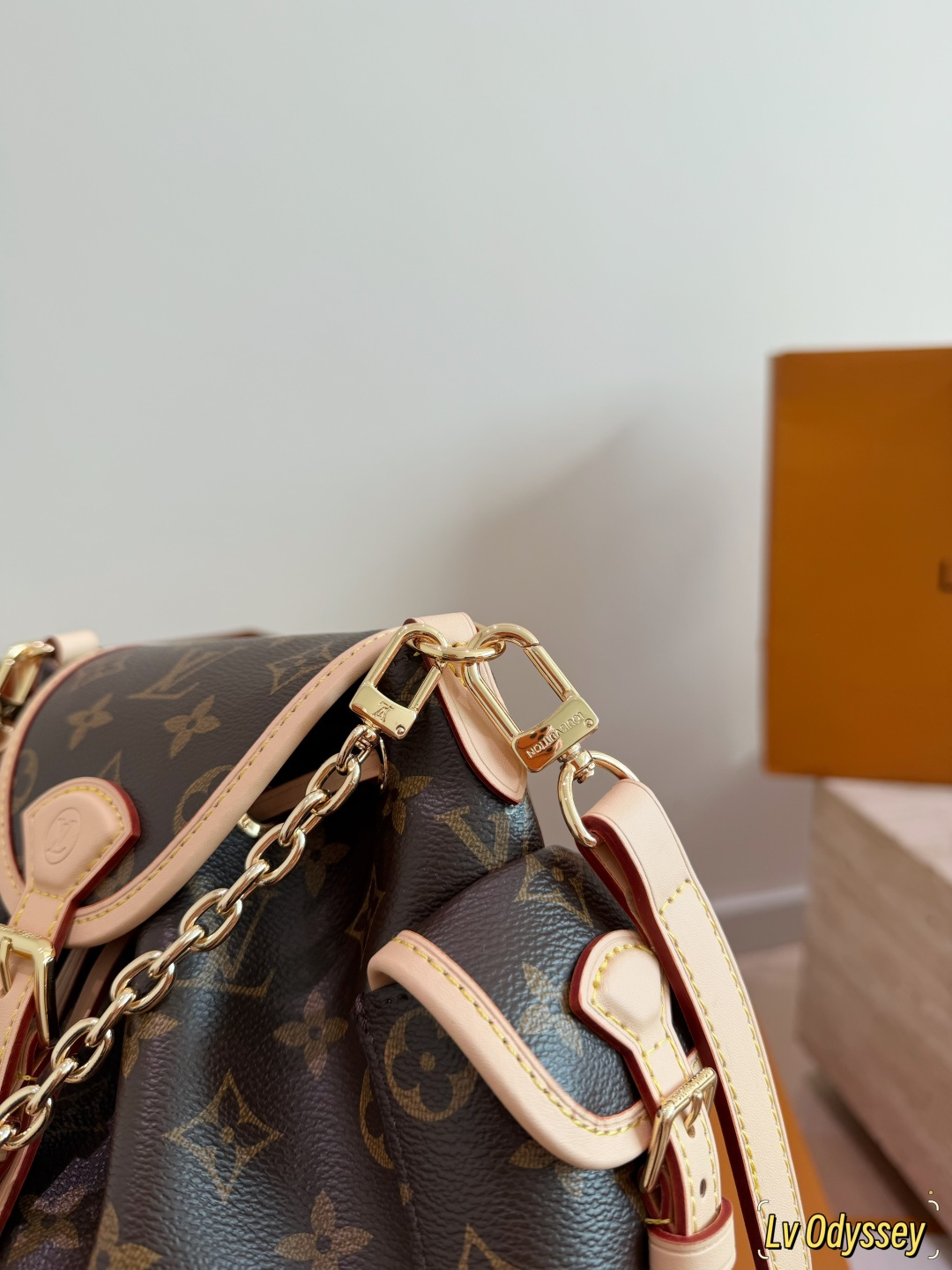 LV Odyssée Monogram Bucket Bag | Gold Chain Crossbody