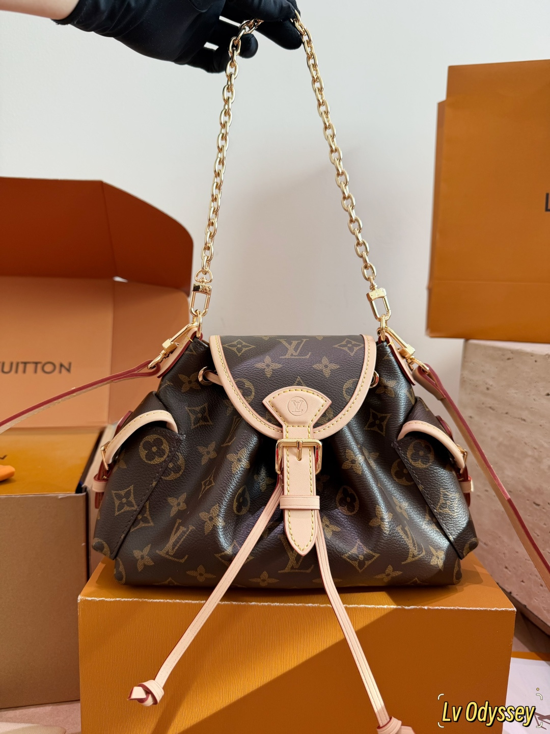 LV Odyssée Monogram Bucket Bag | Gold Chain Crossbody