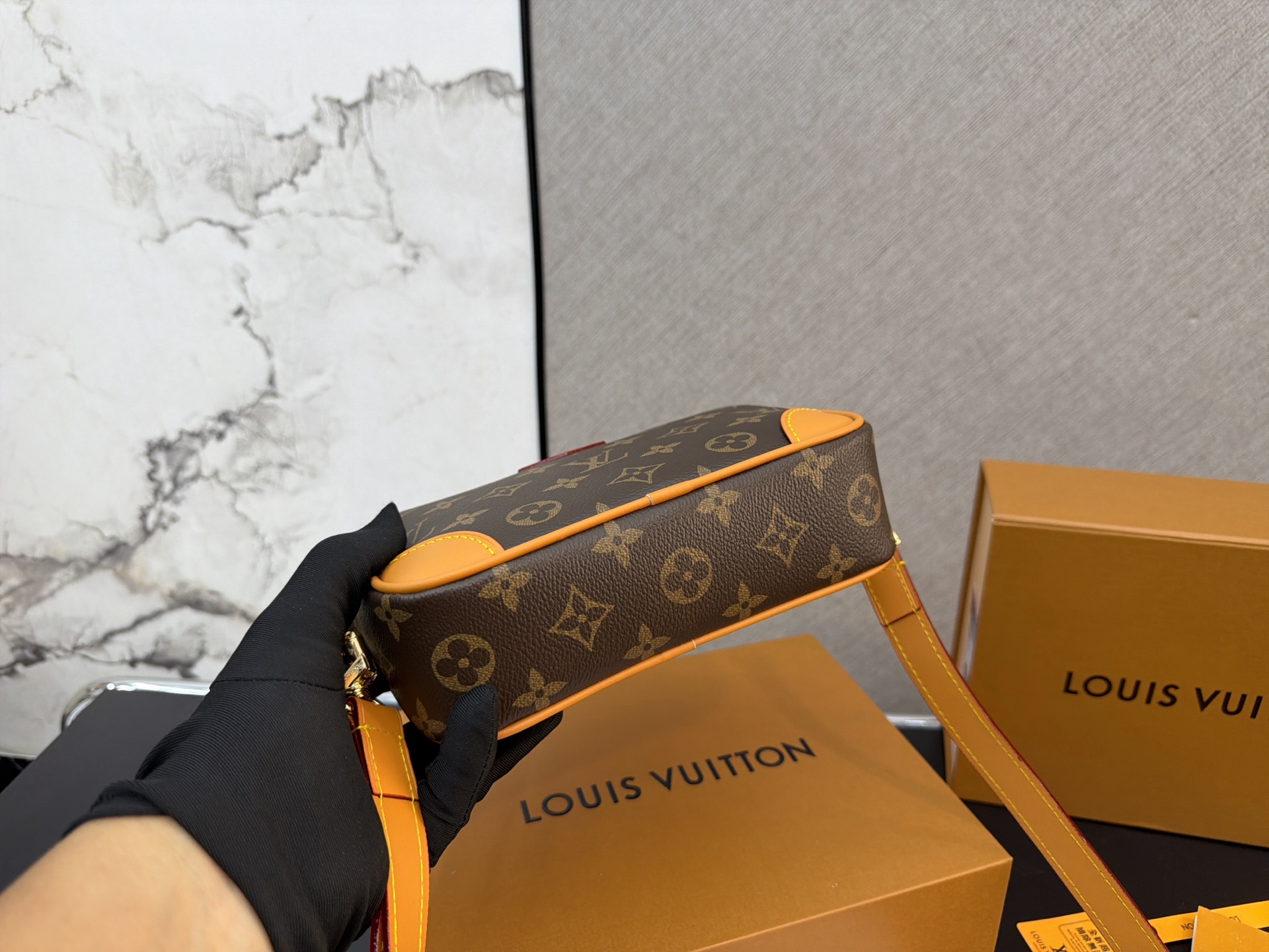 Louis Vuitton Monogram Canvas Mini Camera Bag (Unisex Crossbody Edition)