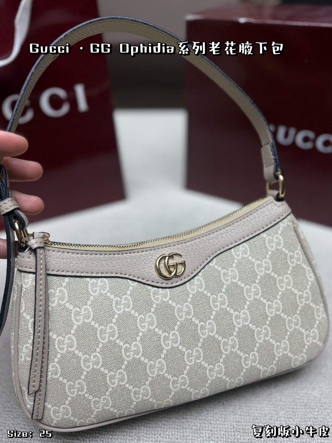Chic Ophidia-Style GG Canvas Hobo Bag with Adjustable Strap, Double G Hardware & Foldable Box (25cm)
