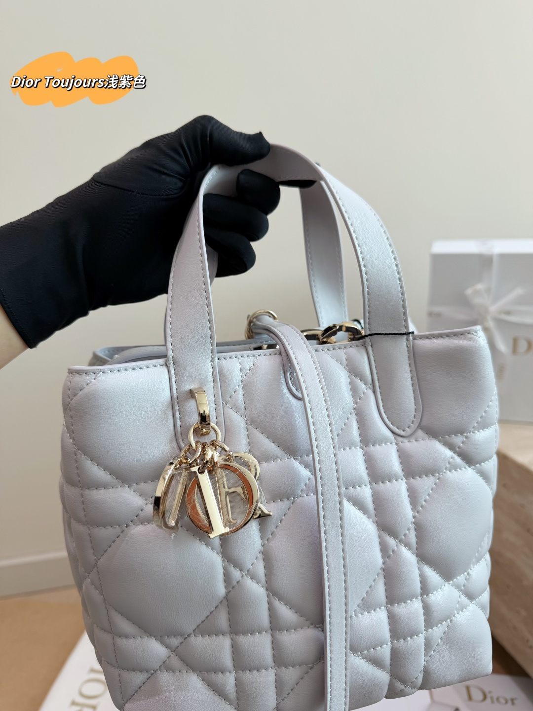 Dior Toujours Vertical Tote Bag in Lilac Cannage Leather (17x19cm)